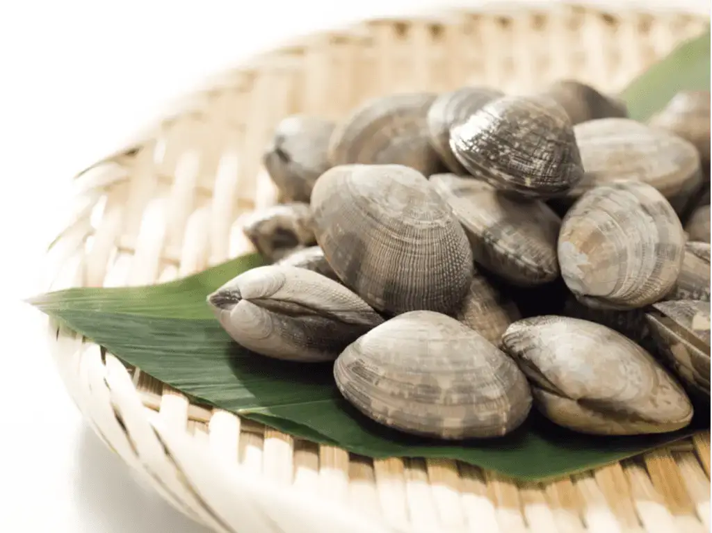 The 5 Best Types of Frozen Clams to Buy: Which Ones Are Worth Your Money?