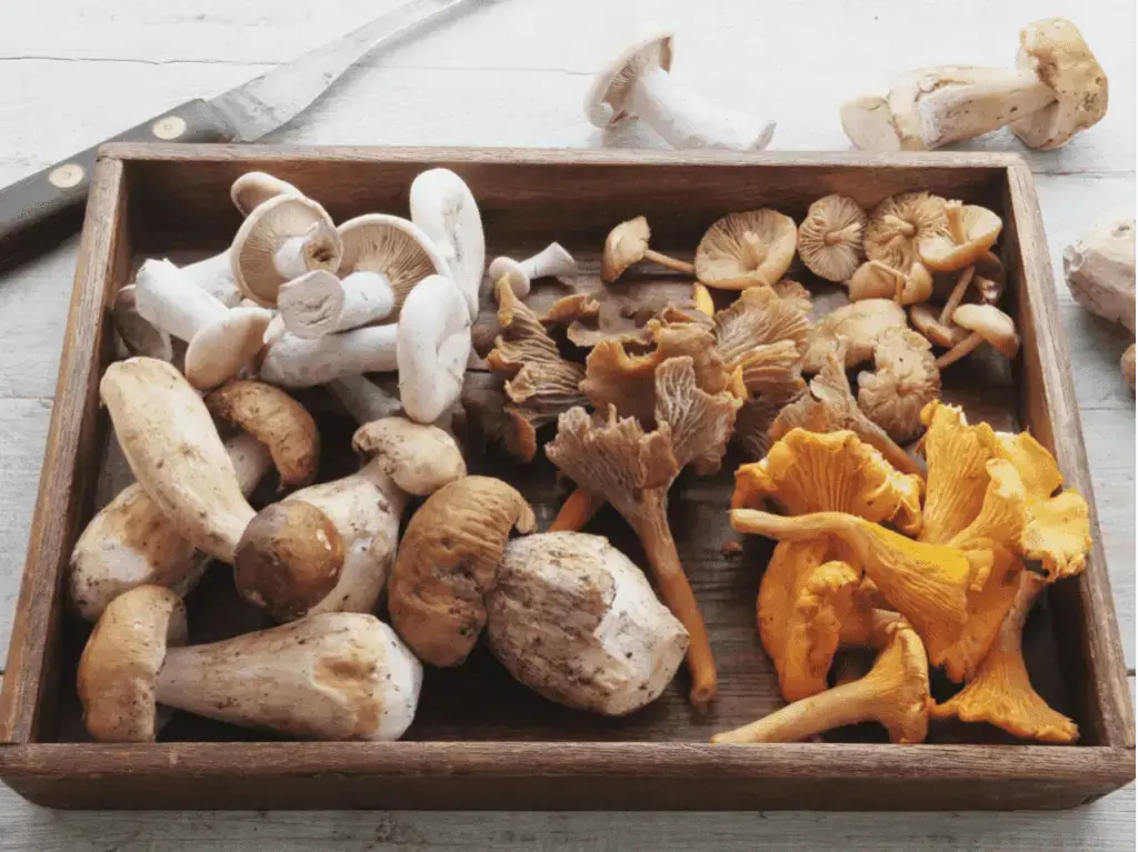 The 7 Best Frozen Mushrooms to Buy: Which Ones Are Worth Your Money?
