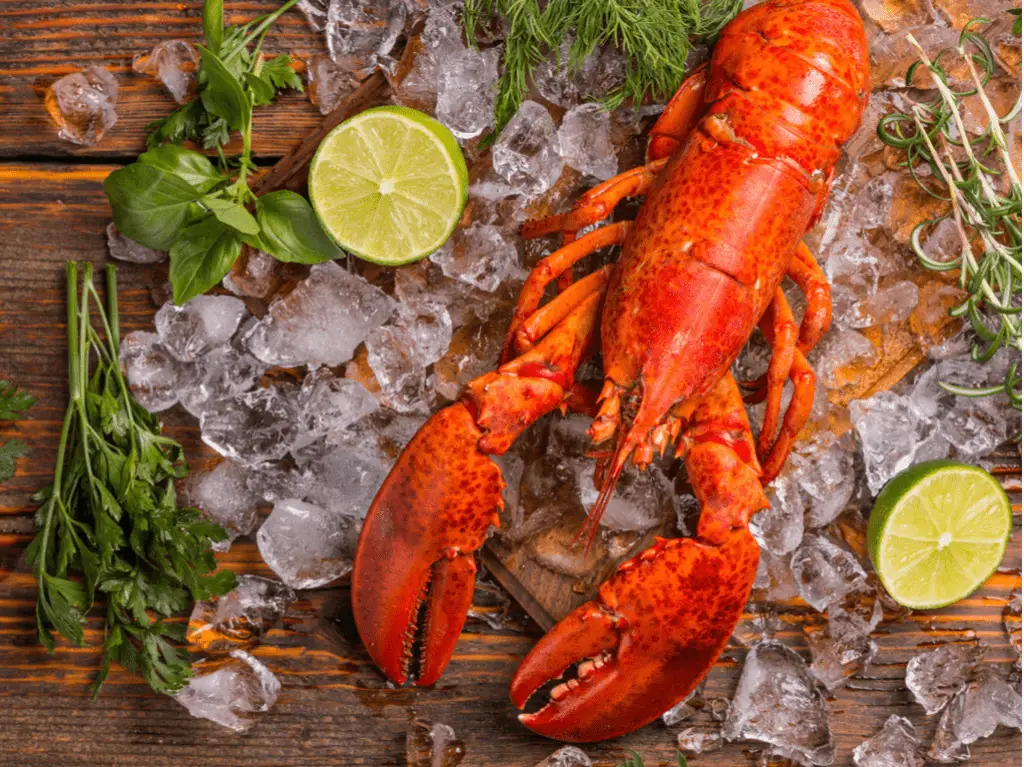 The 6 Best Frozen Lobsters Which Ones Are Worth Buying? My Frozen Picks